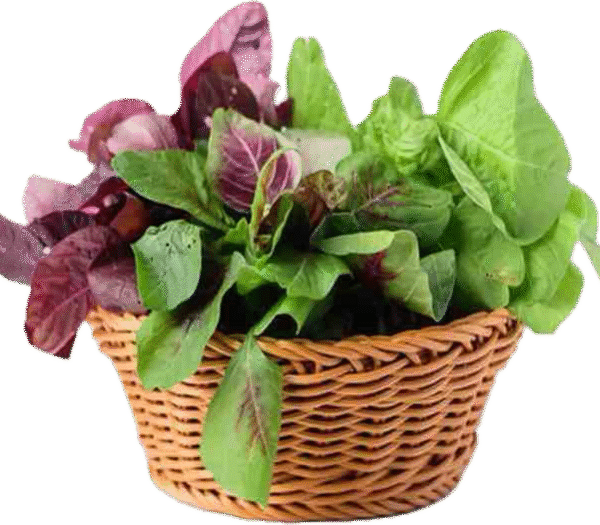 Fresh Data Shak (leafy vegetable) 500g